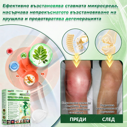 👩‍⚕️ 𝐴𝑁𝐺𝐸𝐿𝑇𝑅𝐴𝑃® 𝐌𝐨𝐫𝐢𝐧𝐠𝐚 × 𝐁𝐞𝐫𝐛𝐞𝐫𝐲𝐧𝐚 × 𝐀𝐌𝐏𝐊 𝟏𝟎 в 𝟏 – Нано микроиглен пластир за отслабване|Само 𝟏× дневно ✅ Видими промени за 𝟕 дни – при затлъстяване, сърдечно-съдово здраве, диабет и ставни проблеми
